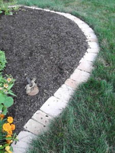 Build a Weed Wackless Flower Bed Border